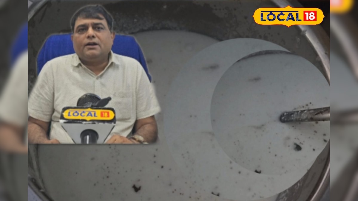 रात में दही खाना सही या गलत? एक्सपर्ट से समझें बीमार होने का पूरा सच