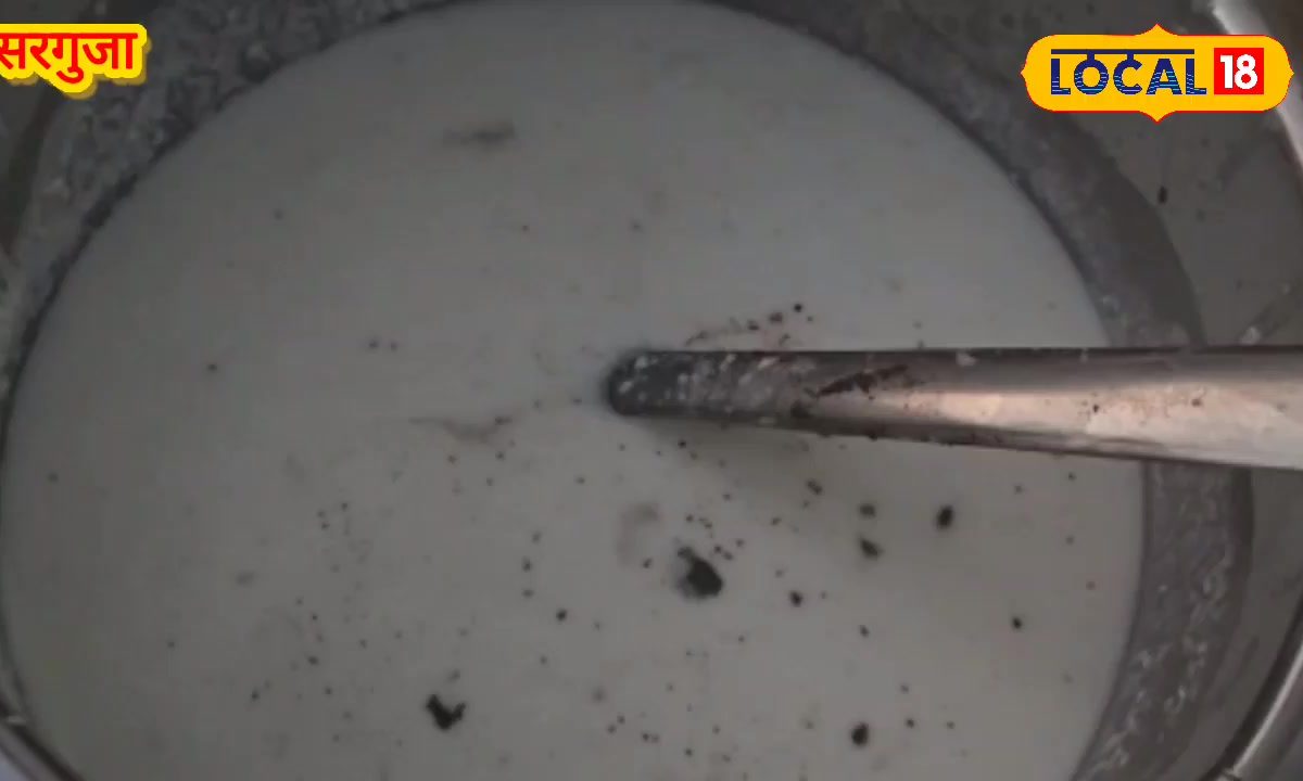 दिन में अमृत, रात में जहर क्यों बन जाती पौष्टिक दही? डॉक्टर से जानें खाने का सही समय