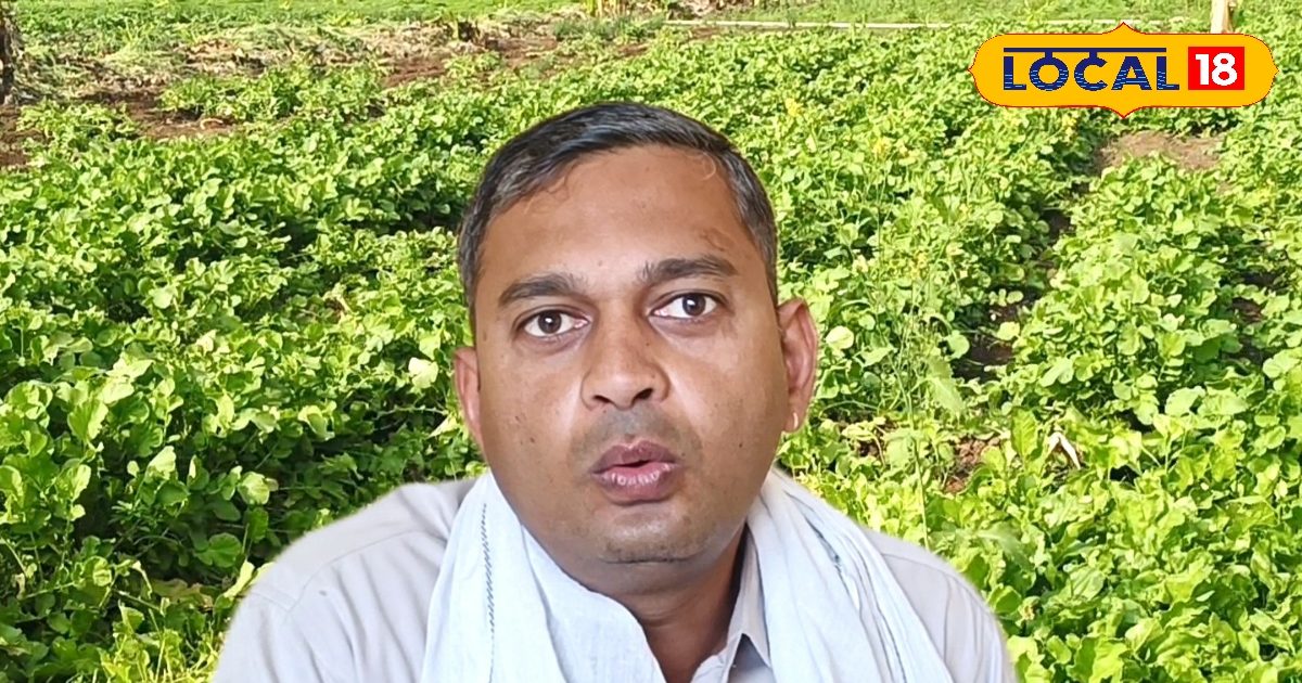 MBA पास कल्पेश का जलवा! केला, कपास, गन्ना उगाकर 15 साल से छाप रहे नोट