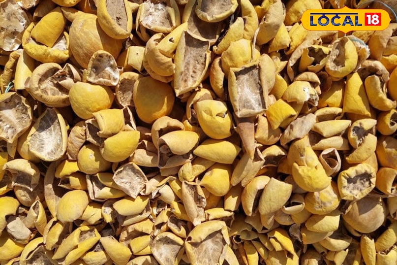 তুম্বা তুম্বা