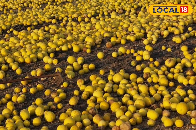 তুম্বা তুম্বা