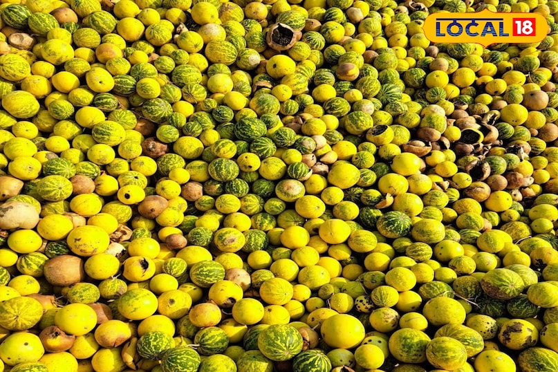 তুম্বা তুম্বা