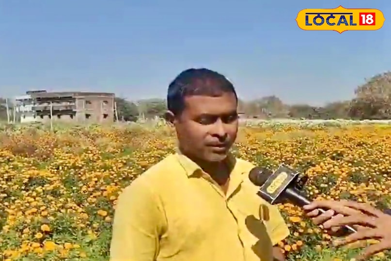 संतोष कुमार बताते हैं कि करीब 20 साल पहले वे सब्जी की खेती करते थे. हालांकि मेहनत काफी होती थी, लेकिन लागत के मुकाबले मुनाफा बहुत कम मिलता था। कई बार ऐसी स्थिति भी आती थी कि लागत निकालना मुश्किल हो जाता था. इससे वे लगातार बेहतर विकल्प की तलाश में थे. संतोष कुमार बताते हैं कि करीब 20 साल पहले वे सब्जी की खेती करते थे. हालांकि मेहनत काफी होती थी, लेकिन लागत के मुकाबले मुनाफा बहुत कम मिलता था। कई बार ऐसी स्थिति भी आती थी कि लागत निकालना मुश्किल हो जाता था. इससे वे लगातार बेहतर विकल्प की तलाश में थे.