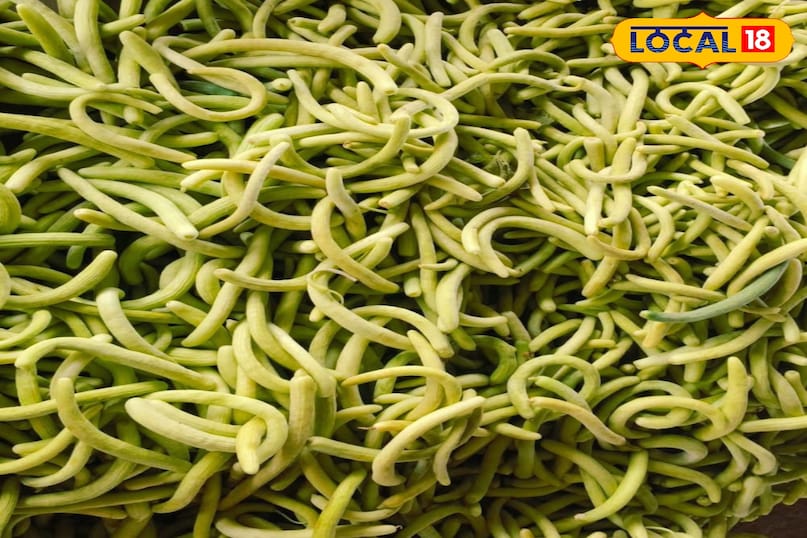 রসালো ফল