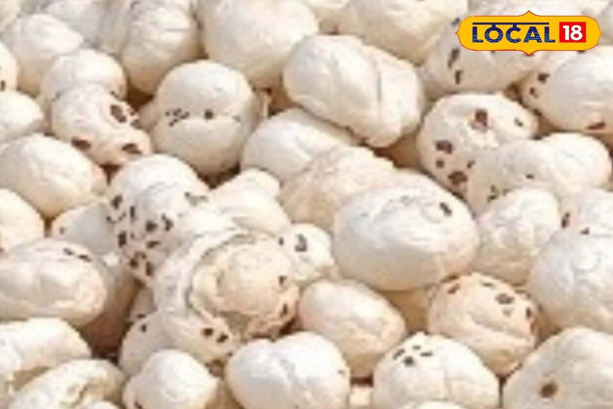 हर दिन मखाना खाते हैं? ज्यादा सेवन से पेट और किडनी को हो सकता है नुकसान, जानिए जरूरी बातें