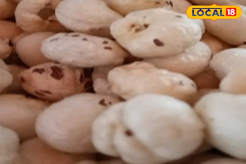 মোরাদাবাদের খবর, হিন্দি খবর, স্থানীয় খবর, আপ নিউজ, মোরাদাবাদের খবর, হিন্দি খবর, স্থানীয় খবর, ইউপি খবর।