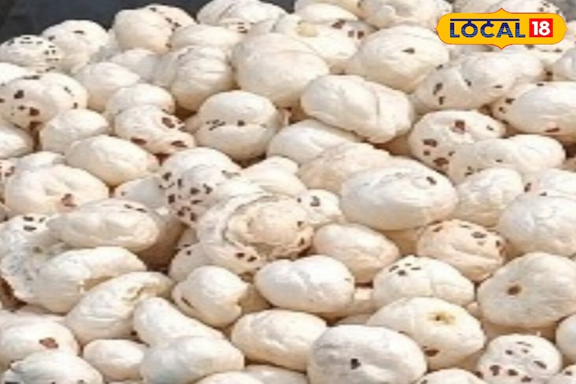 মোরাদাবাদের খবর, হিন্দি খবর, স্থানীয় খবর, আপ নিউজ, মোরাদাবাদের খবর, হিন্দি খবর, স্থানীয় খবর, ইউপি খবর।