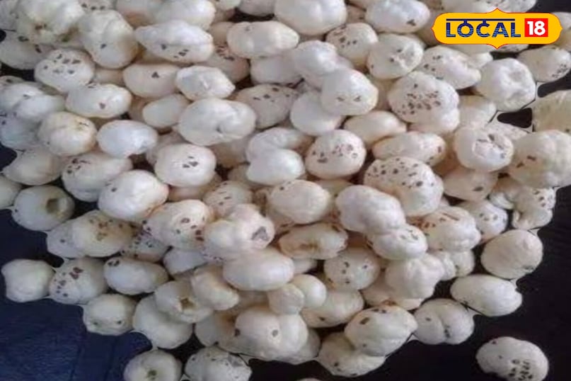 মোরাদাবাদের খবর, হিন্দি খবর, স্থানীয় খবর, আপ নিউজ, মোরাদাবাদের খবর, হিন্দি খবর, স্থানীয় খবর, ইউপি খবর।