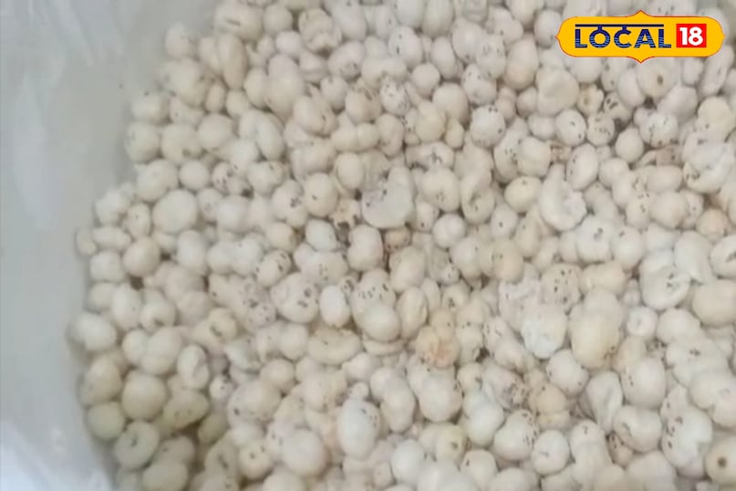 মোরাদাবাদের খবর, হিন্দি খবর, স্থানীয় খবর, আপ নিউজ, মোরাদাবাদের খবর, হিন্দি খবর, স্থানীয় খবর, ইউপি খবর।