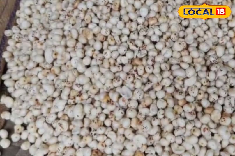 মোরাদাবাদের খবর, হিন্দি খবর, স্থানীয় খবর, আপ নিউজ, মোরাদাবাদের খবর, হিন্দি খবর, স্থানীয় খবর, ইউপি খবর।