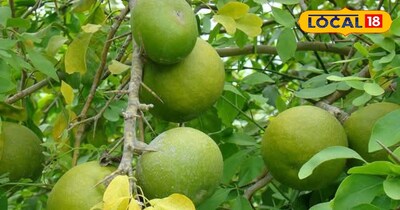 Bael syrup is a summer elixir! It will calm your stomach heat and relieve acidit