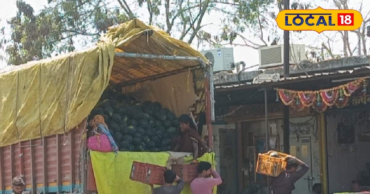 सेब ₹150, अंगूर ₹80 kg, जबलपुर में युद्ध नहीं ऐसे तय हो रहे फलों के दाम, जानें मंडी का हाल