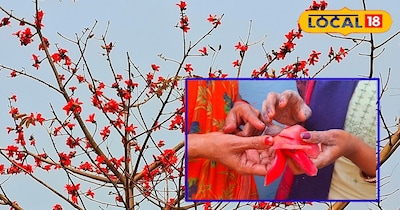 सेमल के फल की सब्जी!