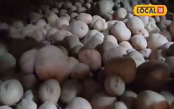 देसी तरीकों से ऐसे करें सुरक्षित भंडारण