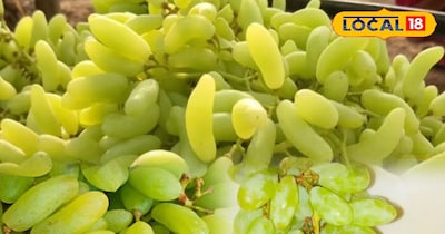 अंगूर पर नजर आती सफेद पाउडर की परत