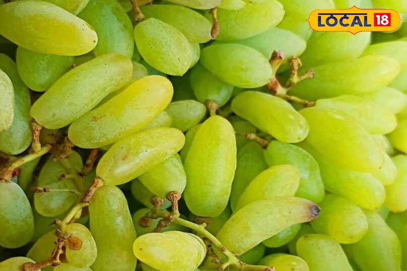 अंगूर