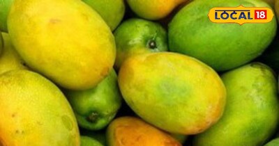 विदेश से आम के ऑर्डर मिलने हुए शुरू।