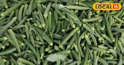 डीग में भिंडी की नई वैरायटी से किसान को फायदा.