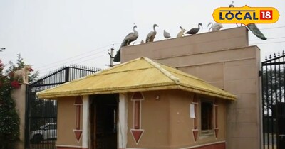 स्मृति वन 