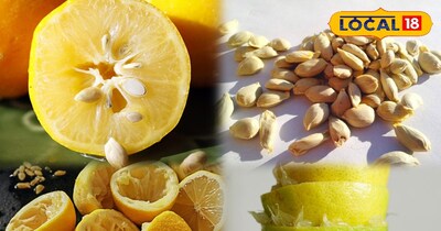 निम्बू के छिलके और बीज