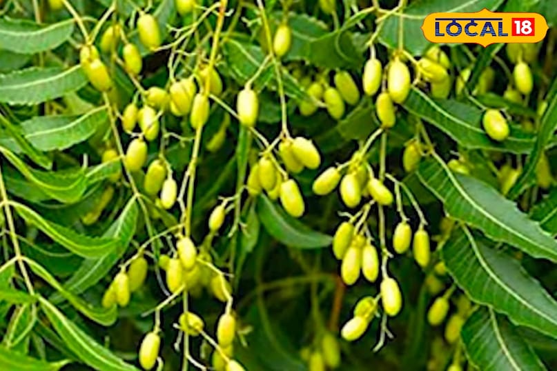 মোরাদাবাদের খবর, হিন্দি খবর, স্থানীয় খবর, আপ নিউজ, মোরাদাবাদের খবর, হিন্দি খবর, স্থানীয় খবর, ইউপি খবর। মোরাদাবাদের খবর, হিন্দি খবর, স্থানীয় খবর, আপ নিউজ, মোরাদাবাদের খবর, হিন্দি খবর, স্থানীয় খবর, ইউপি খবর।