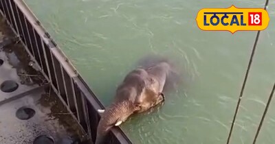 प्रतीकात्मक तस्वीर 