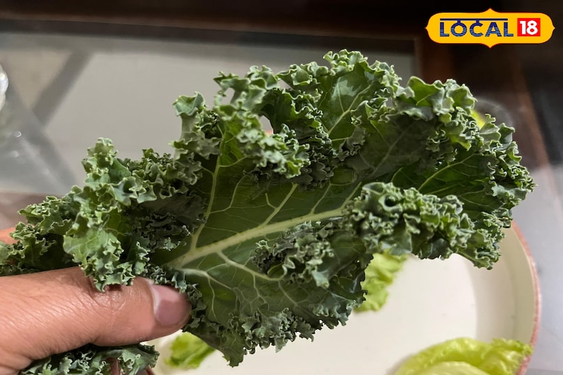 লেটুস উপকারিতা 