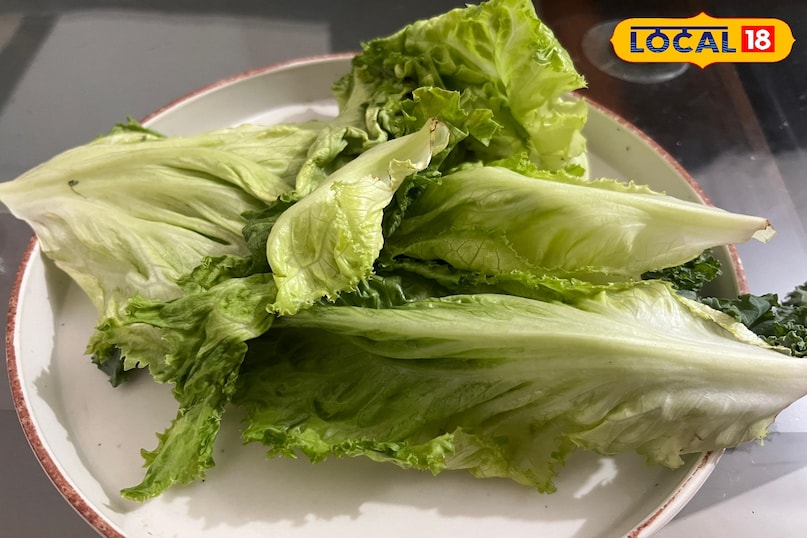 লেটুস উপকারিতা 