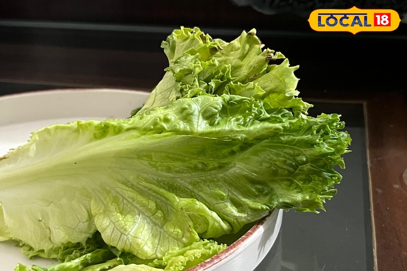 লেটুস উপকারিতা 