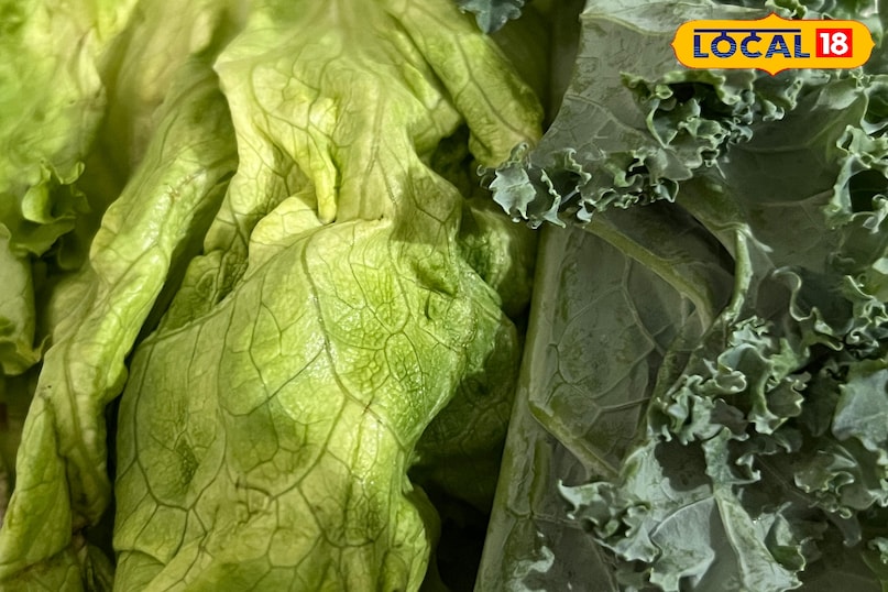 লেটুস উপকারিতা 