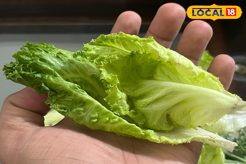 লেটুস উপকারিতা 