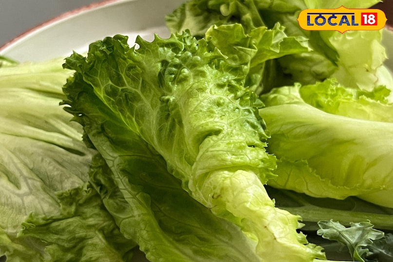 লেটুস উপকারিতা 