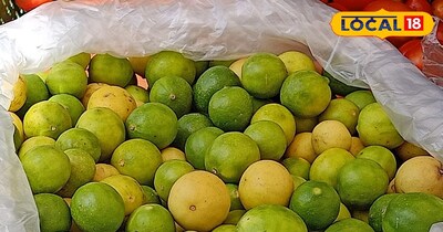 सीकर में नींबू का भाव ₹215 प्रति किलो
