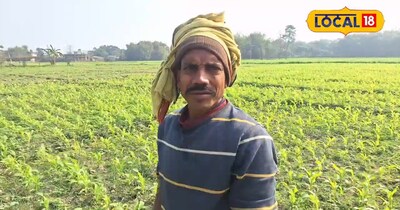 अररिया में मनमाने दाम पर DAP यूरिया की बिक्री, सरकारी रेट का बना मजाक, जमकर हो र