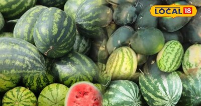 भीलवाड़ा की मंडी में आए तरबूज