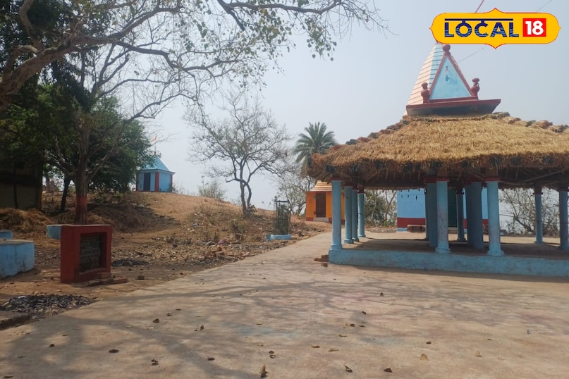 औषधीय गुणों से भरपूर कई पौधे इसपर उपलब्ध है