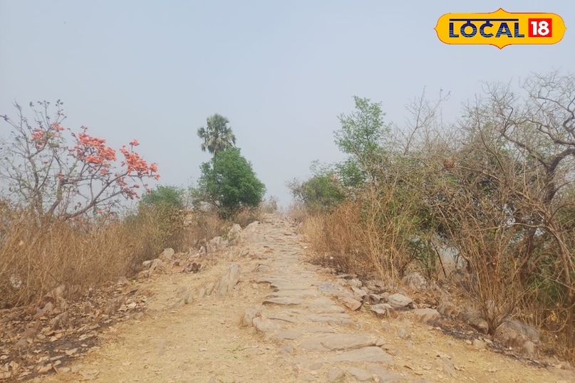 यहां के कई पहाड़ियों के छय भी हुआ है लेकिन अब बचाने का प्रयास किया जा रहा है