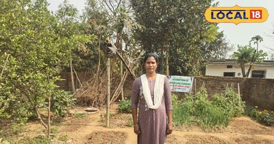 जमशेदपुर की नीलम बारा: किचन गार्डन से शुद्ध सब्जियां और साप्ताहिक आय.