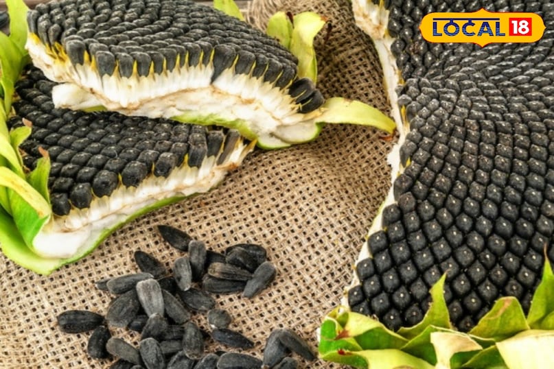 संकर किस्म FSH-17 संकर किस्म FSH-17