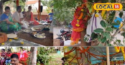 Unique Wedding: Neem and Peepal Trees Married in Telangana with Full Rituals
