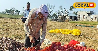 बारदाना की सप्लाई प्रभावित