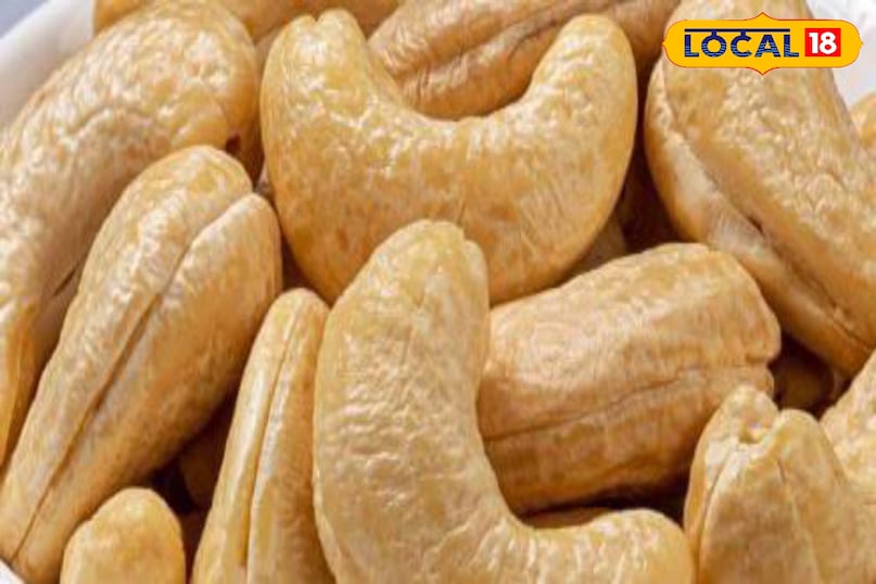 মোরাদাবাদের খবর, হিন্দি খবর, স্থানীয় খবর, আপ নিউজ, মোরাদাবাদের খবর, হিন্দি খবর, স্থানীয় খবর, ইউপি খবর।