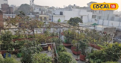 टेरेस गार्डन