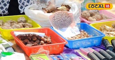 NIT मार्केट में 50 रुपये में मिल रहे सीजनल बीज.