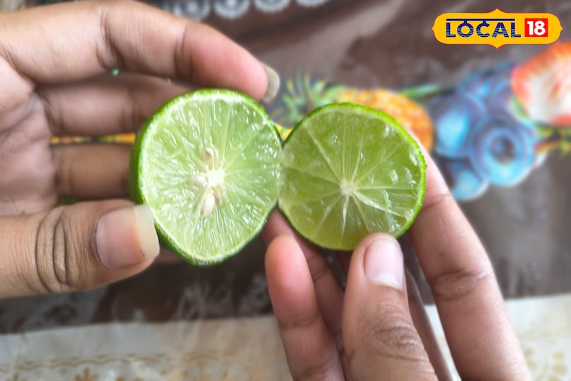 Easy way to get rid of lizards Easy way to get rid of lizards