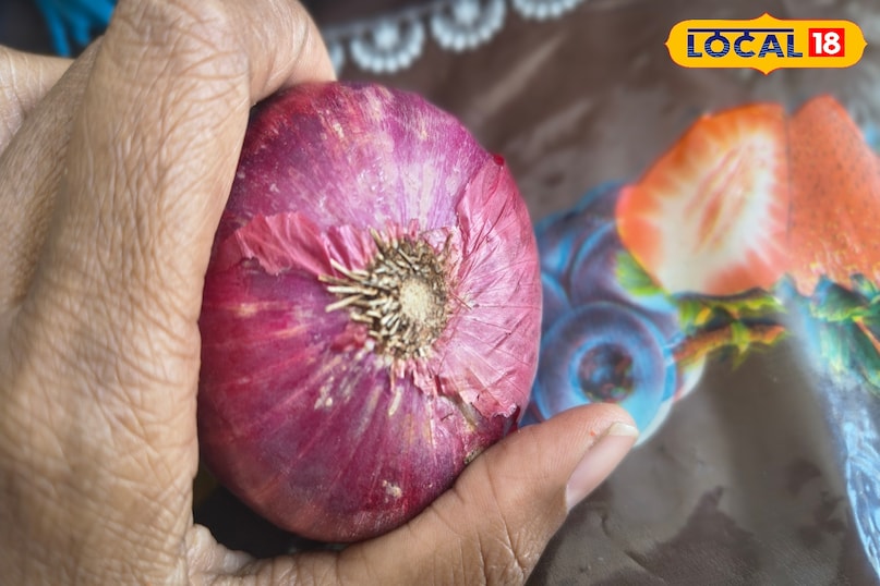 Easy way to get rid of lizards Easy way to get rid of lizards