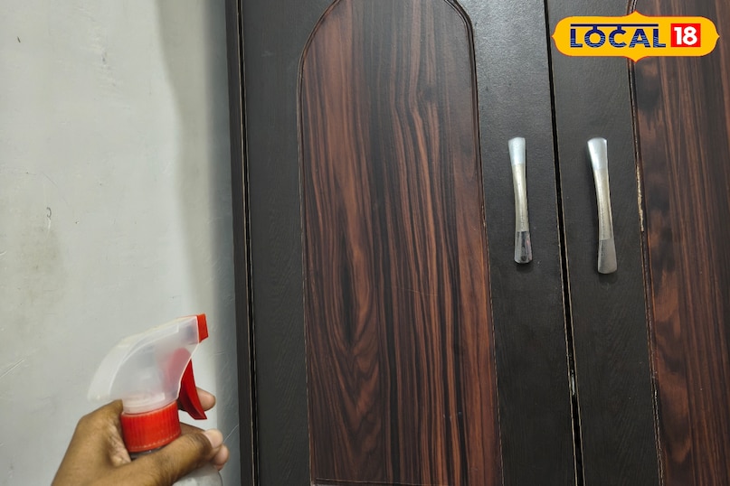 Easy way to get rid of lizards Easy way to get rid of lizards