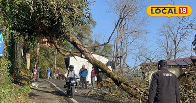 बारिश के बाद नैनीताल की ज्यादातर सड़कों में पेड़ गिर गए