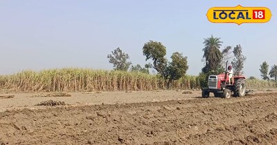 गन्ने की बुवाई के लिए जरूरी बातें 