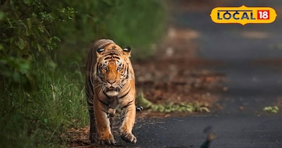 फाइल फोटो.